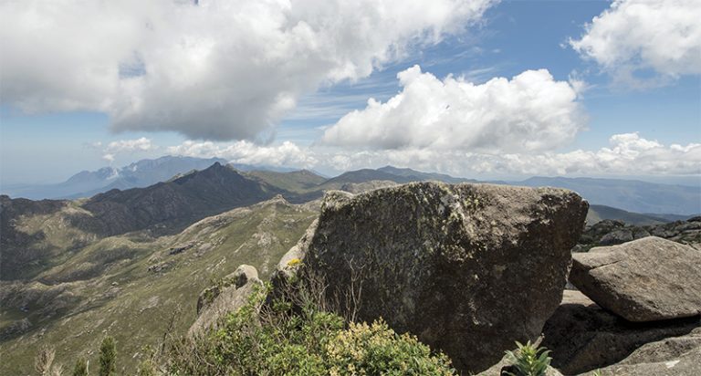 Uma pequena pedra, uma grande lição