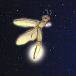 Ilustração: Lucília Bernadete Guarany