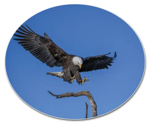 Foto: Hunter Masters / Unsplash