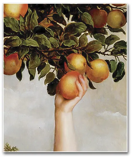 Foto: Riproduzione