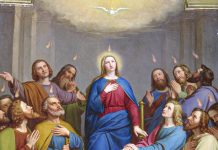 Un’anima fatta interamente d’amore