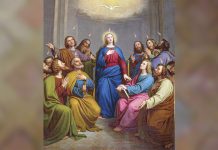 Un appello alla fiducia!