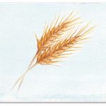 Illustrazione: Tatiana Villegas