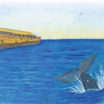 Illustrazione: Elizabeth Bonyun