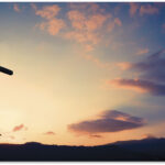 Foto: Juan Carlos Villagómez