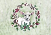 In Search of the Lost Sheep