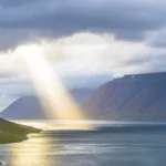 Photo: Davide Cantelli / Unsplash