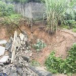 Fotos do quintal da residência de Da. Elma, antes e depois da reforma – Foto: Reprodução