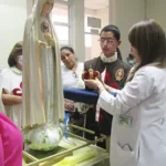 R269-AM-115_Guatemala_Hospital del Instituto Guatemalteco de Seguridad Social_Ciudad de Guatemala_Foto-Aida de Mérida