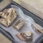Fragmentos de esculturas encontrados – Foto: Reproducción