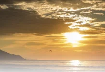 Jacques Fesch: del crimen al Cielo – Una nueva creación