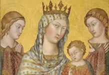 Auge de modestia y de gloria