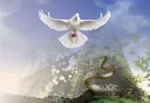 Venerable Pío Bruno Lanteri – Sagaz como la serpiente…