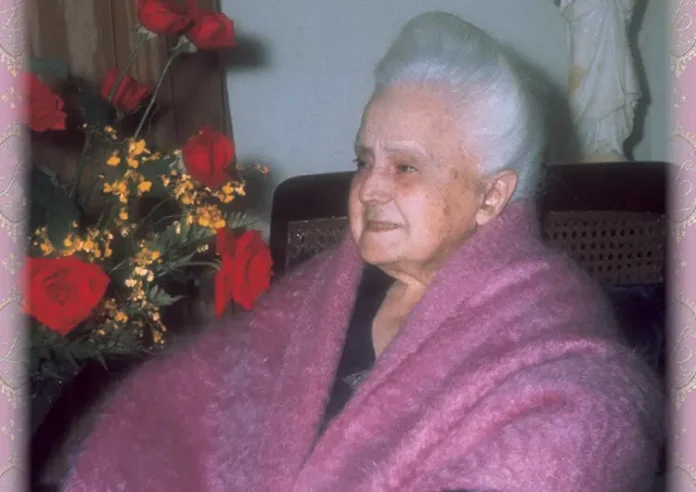 Foto: João S. Clá Dias