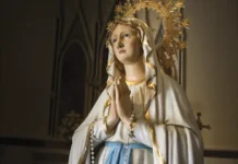 Infúndenos un rayo de tu inmaculabilidad